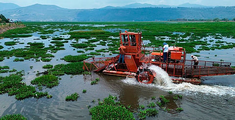 La acción mejorará la calidad del agua y ampliará la zona de pesca