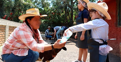 Granjeros por un día: así será la experiencia infantil en el Zoo de Morelia
