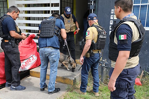Rescatan a perros víctimas de abandono durante cateo en Villas del Pedregal