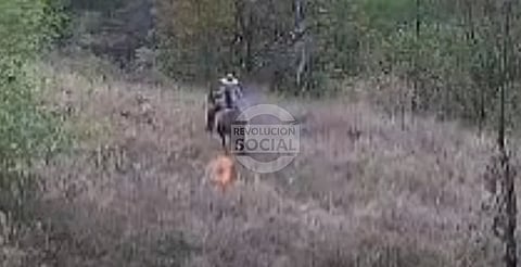 Buscan a responsable de incendio forestal en Morelia; prendió en fuego y huyó en caballo