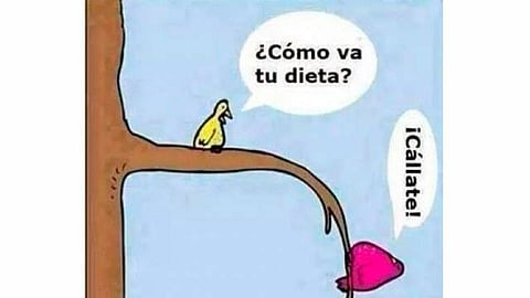 Los romeritos, el pavo, la pierna y el pastel de Navidad de la tía Juanita son sólo un vago y hermoso recuerdo que guardaremos en nuestras mentes hasta el próximo año