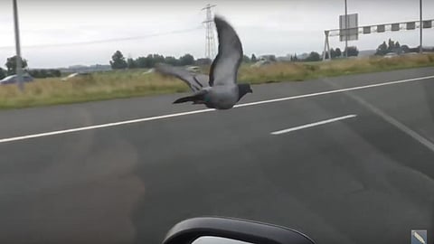 Lo curioso es que en dicha vía la velocidad de vehículos es de aproximadamente 100 kilómetros por hora (Foto: YouTube) 