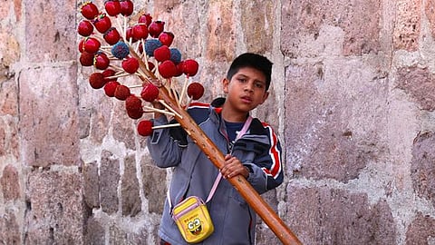 El 88.7% de los niños en la entidad están ocupados en la producción de Bienes y Servicios (Foto: ACG)