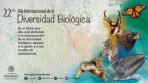 El Gobierno México exhorta a impulsa un crecimiento verde incluyente, que preserve el medio ambiente (Foto: @Semarnat)