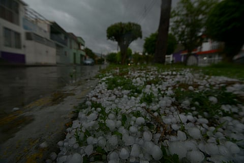 Autoridades municipales se mantienen alertas (Foto: ACG)