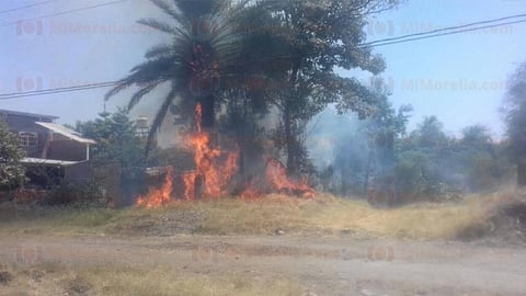 El siniestro amenazaba también una primaria
