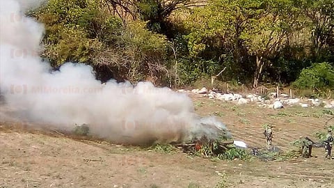 Fueron ocho los plantíos eliminados