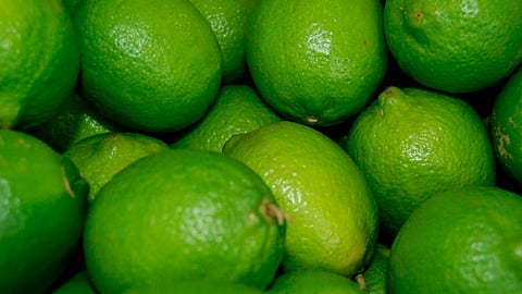 Trabaja Michoacán para fortalecer la producción del limón mexicano