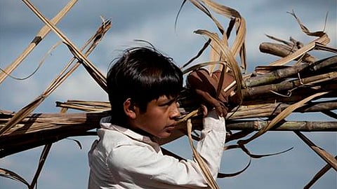 Existen aproximadamente 3 millones de menores de edad que trabajan (Foto: archivo) 