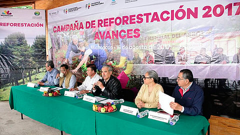 Michoacán es el principal estado de la República Mexicana que cuenta con las mejores condiciones de suelo para la producción (Foto: Cortesía)