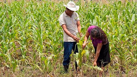 Adelantó que la próxima semana, serán liberados los 149 millones de pesos federales que estaban pendientes del Ciclo Agrícola (Foto: Cortesía)