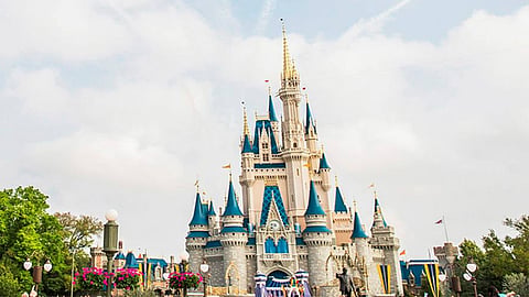 El recurso se destinará a las instituciones de rescate (Foto Facebook: Walt Disney World)