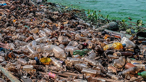 (Foto: theterramarproject.org)