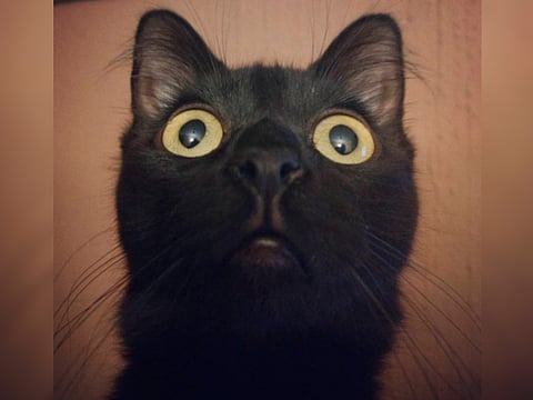¡Terrorífico! Hoy es viernes 13