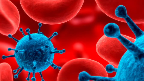 En 2016, se diagnosticaron poco más de 23 mil 800 casos de gonorrea (Foto: commons.wikimedia.org)