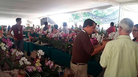 402 extranjeros provenientes de 31 países visitaron las instalaciones (Foto: Cortesía)