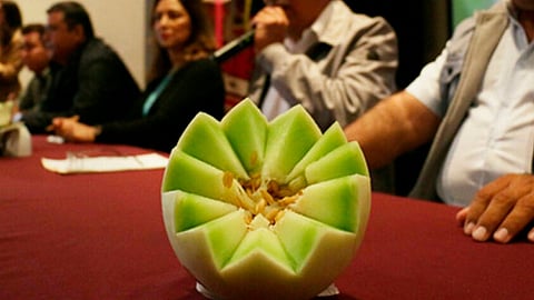 (Foto: Archivo)