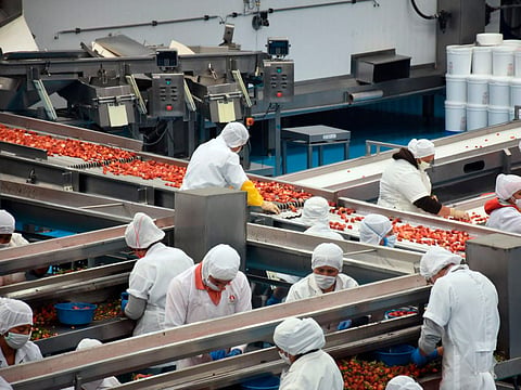 Michoacán registra tasa de desocupación más baja en 9 años