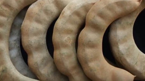 Esto beneficiaría a productores de Colima, Jalisco, Michoacán y Nayarit (Foto: Video Captura)
