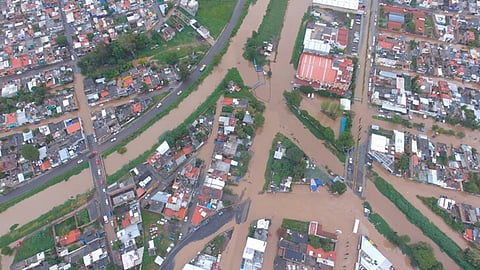 "no hay manera de que se libren del problema", señala especialista (Foto: B-Loza)