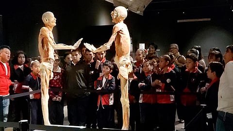 Aún queda más de un mes para visitar la muestra (Foto: Cortesía)