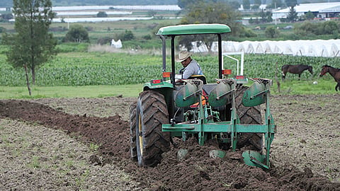 Francisco Rodríguez comentó que la entidad michoacana pudo salir “airosa” (Foto: Cortesía)
