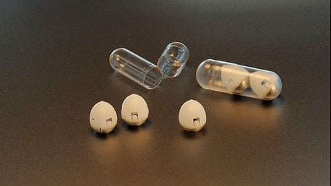 La píldora sólo ha sido probada en cerdos (Foto: @MIT)
