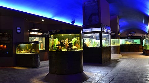 En México, hay mil 319 recintos museísticos, de los cuales alrededor de 160 tienen como objetivo acercar la ciencia y la tecnología (Foto Cortesía)