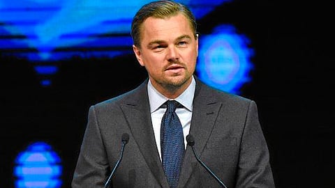 La Vaquita marina es otra de las especies que el actor protege a través de su fundación (Foto: FB/LeonardoDiCaprio)