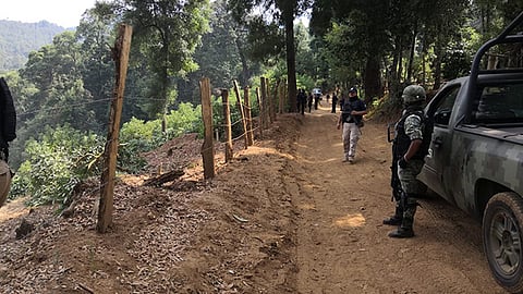 Michoacán refuerza la recuperación de bosques ante expansión de frontera agrícola; van más de 601 hectáreas salvadas (Foto Cortesía)