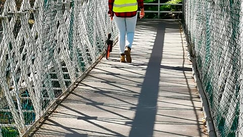 En análisis, sitios dónde podrán ser más funcionales (Foto Facebook: Secretaría de Movilidad y Espacio Público)