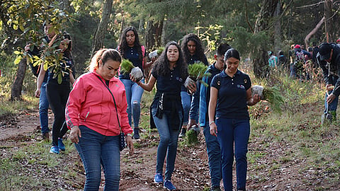 Se signó la “carta compromiso” en la que se estableció el seguimiento y observación para proteger los árboles sembrados (Foto Cortesía)