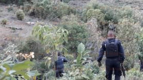 Los gatilleros fueron perseguidos hasta la comunidad de Parangüitiro (Foto: RED 113)