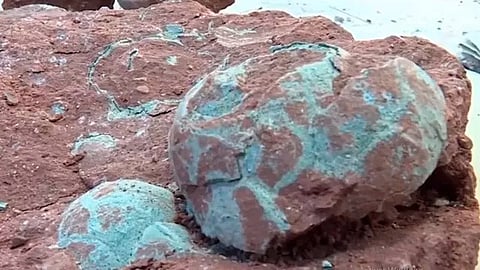 El hallazgo se llevó a cabo en la ciudad de Heyuan, provincia de Guangdong (Foto: captura de pantalla)
