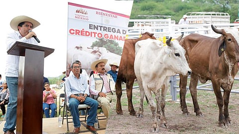 Tendrá una derrama económica federal de 21 millones 994 mil 000 pesos
(Foto: Especial/Cortesías)