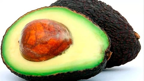 Gran parte de las cortadas por aguacate requieren cirugía (Foto: Pixabay)