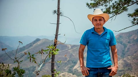 Hace un mes, Verdia Zepeda denunció a medios nacionales, que en la zona costera y la Tierra Caliente aún existe una crisis de inseguridad
(Foto: RED 113)