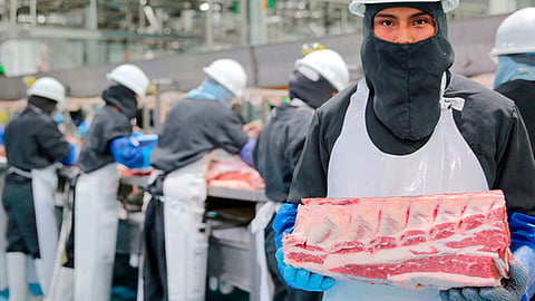 Melgoza dio a conocer cifras del Instituto Mexicano del Seguro Social (IMSS) con las que sustentó que en el 2019 suman ya 464 mil 200 empleos formales (Foto: gob.mx)