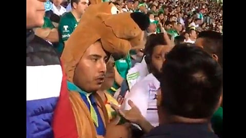 El aficionado de Monarcas acaparó los reflectores durante los partidos de Cuartos de Final (Foto: captura de pantalla)
