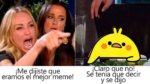 Un gato y un pollo, fueron alguno de los protagonistas de los memes de este año
(Foto: Especial)