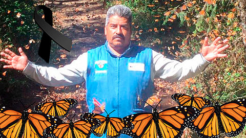 Conoce más sobre la vida de Homero Gómez, activista de la  mariposa Monarca