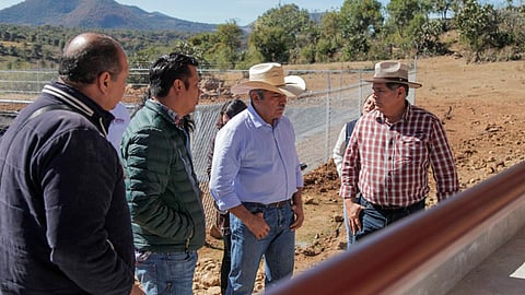 Producción de nopal se verá beneficiada en la región (Foto: Cortesía)
