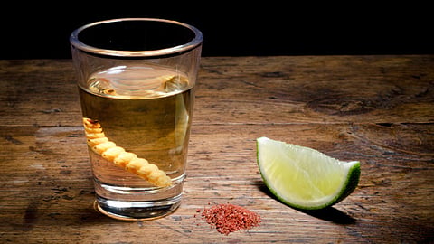 Hubo empresas que vieron mermadas sus ventas de mezcal (Foto:molinodeletras.org)