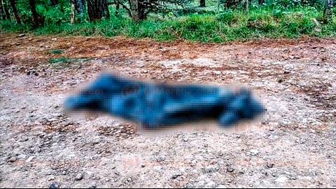 El cuerpo está sin identificar (Foto: RED113)