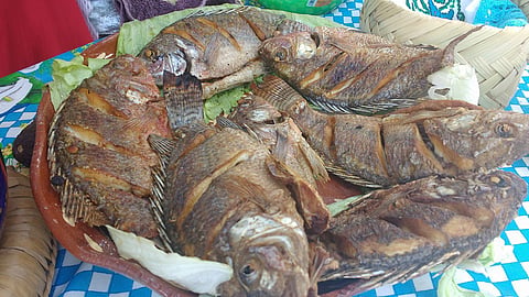En la cocina local de Pátzcuaro se encuentra el pescado blanco recomendado para esta temporada recomendado para esta Cuaresma(Foto: FB Páztcuaro Ayuntamiento)