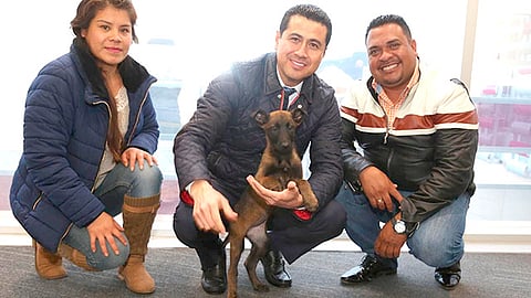 Con entrenamientos, la perrita estará capacitada para resguardar a los michoacanos (Foto: Cortesía)