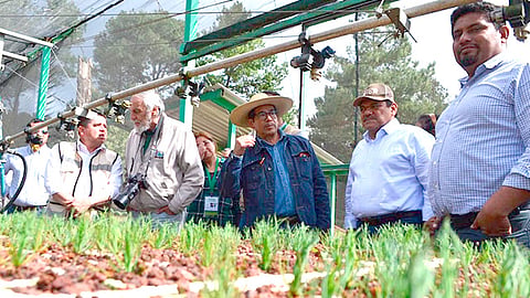 Meseta Purépecha, corazón de Michoacán: Pantoja Arzola (Foto Cortesía) 
