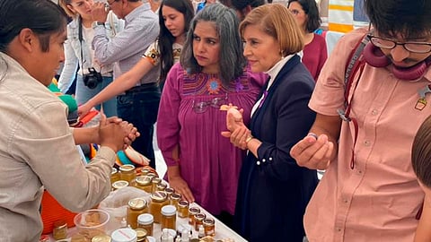 (Foto: cortesía)