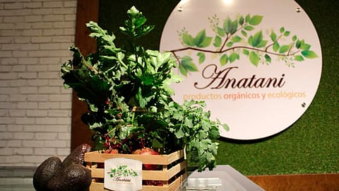 Entre los planes del proyecto Anatani es trabajar con las diferentes tecnologías para que todo sea orgánico y sustentable (Foto: FB/Anatani productos orgánicos y ecológicos)