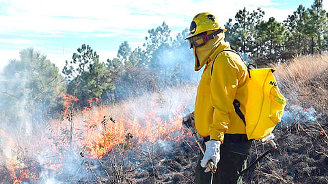 Michoacán, 60 % debajo del número de incendios y superficie afectadas respecto al 2019 (Foto Cortesía) 